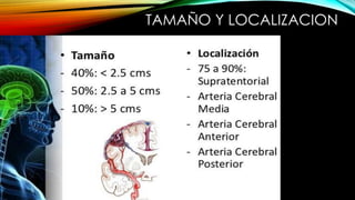 TAMAÑO Y LOCALIZACION