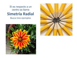 Si es respecto a un
centro se llama
Simetría Radial
Busca tres ejemplos
 