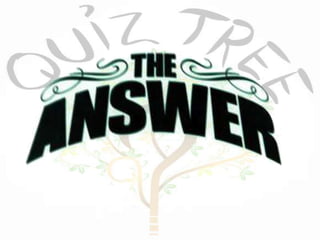 QuizTree Mega Visual Connect