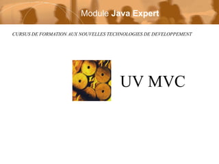 Module Java Expert
CURSUS DE FORMATION AUX NOUVELLES TECHNOLOGIES DE DEVELOPPEMENT

UV MVC

 