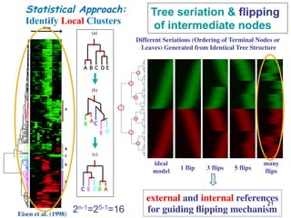 21 
Eisen et al. (1998) 
Tree seriation  flipping 
of intermediate nodes (a) 
A B C D E 
D 
(b) 
A 
E 
B C 
(c) 
C E D B A 
1 flip 3 flips 5 flips 
many 
flips 
2n-1=25-1=16 
Different Seriations (Ordering of Terminal Nodes or 
Leaves) Generated from Identical Tree Structure 
ideal 
model 
external and internal references 
for guiding flipping mechanism 
Statistical Approach: 
Identify Local Clusters 
 