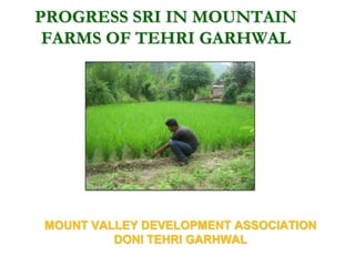 PROGRESS SRI IN MOUNTAIN
 FARMS OF TEHRI GARHWAL




MOUNT VALLEY DEVELOPMENT ASSOCIATION
         DONI TEHRI GARHWAL
 