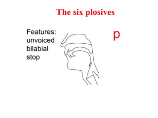 Features:
unvoiced
bilabial
stop
p
The six plosives
 