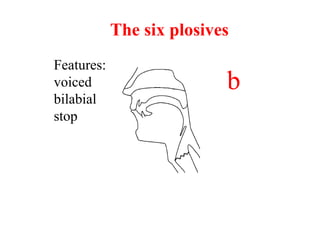Features:
voiced
bilabial
stop
b
The six plosives
 