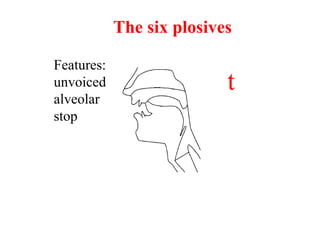 Features:
unvoiced
alveolar
stop
t
The six plosives
 