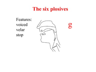 Features:
voiced
velar
stop
g
The six plosives
 