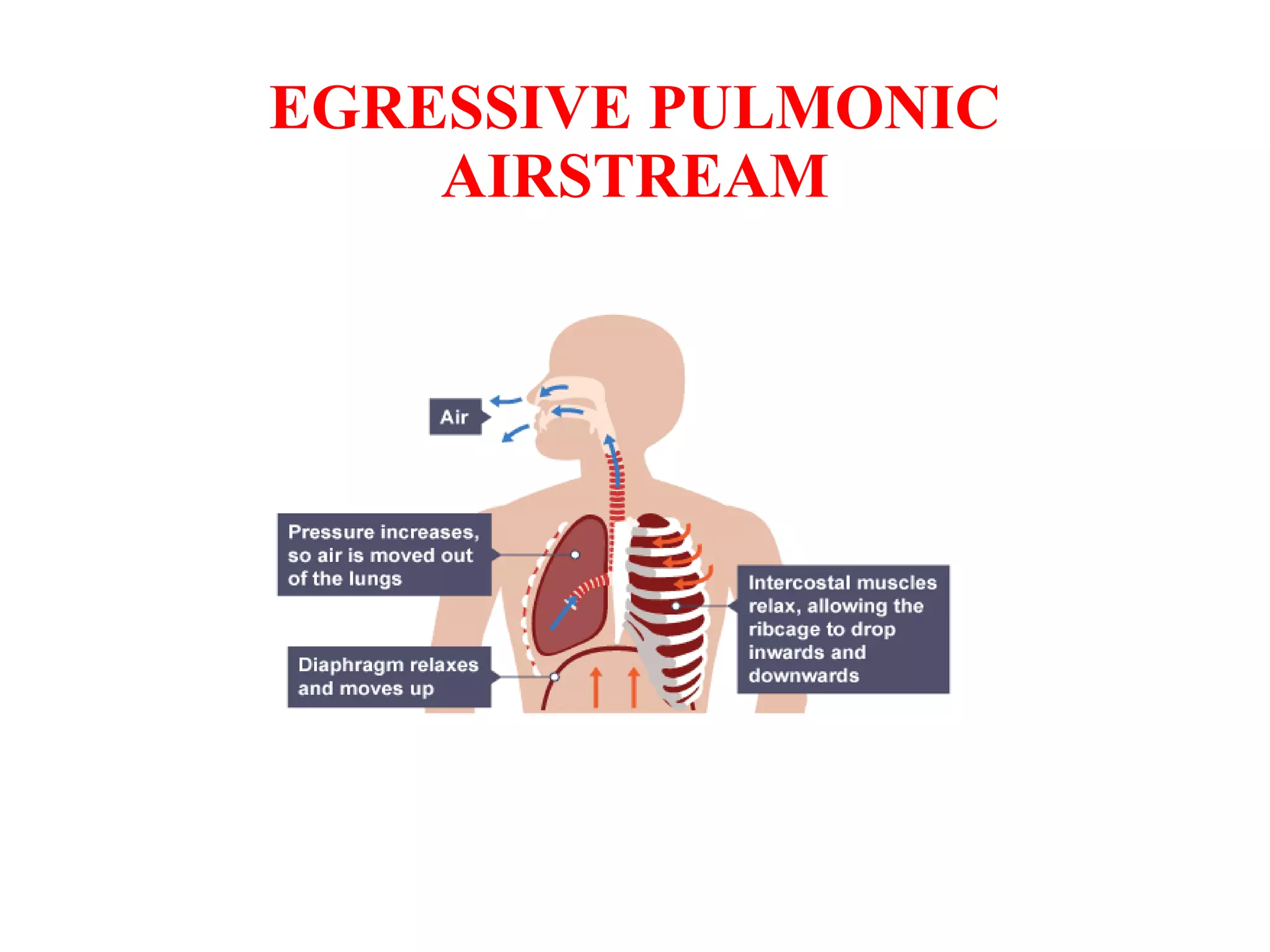 EGRESSIVE PULMONIC
AIRSTREAM
 