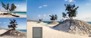 Itampolo et ses dunes
de sable blanc sculptées
par le vent offrant un
spectacle éphémère,
certaines ne durant que
grâce au...