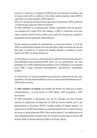 expresivo o codificante y secuencias de ADN que no son transcritas a proteínas y que
se conoce como ADN no codificante. Este último puede presentarse como ADN de
copia única o en copias múltiples (ADN repetitivo-
Sólo el 2% del genoma humano (incluso algo menos) corresponde a DNA codificante
y el resto (la gran mayoría) es DNA no coficante.
El ADN codificante es, en general, poco variable o polimórfico entre las personas,
con excepción de la región HLA. Sin embargo, el ADN no codificante, al no estar
sujeto a presión selectiva intensa, admite unos niveles de variación muy grandes en
comparación con las regiones de ADN codificante


Existen numerosos ejemplos de polimorfismos en el genoma humano. A nivel del
ADN, los polimorfismos pueden ser de diversos tipos, desde la mutación de una sola
base hasta el cambio en el número de unidades repetidas en tandem en ciertas
regiones del ADN y se suelen clasificar en:

a) Polimorfismos de secuencia, producidos por el cambio de uno (mutación puntual) ó
más nucleótidos en una secuencia de ADN. Estos son los polimorfismos son muy
abundantes en el ADN codificante pero también en el no codificante y son conocidos
como SNPs (“single nucleotide polymorphisms”, polimorfismos nucleotídicos
simples).

b) Polimorfismos de longitud, producidos por inserciones o deleciones de uno o más
nucleótidos. Este tipo de polimorfismo es el que se observa más frecuentemente en el
ADN repetitivo nuclear.


El ADN repetitivo en tandem está formado por bloques de ADN que se repiten
consecutivamente y se suele dividir en ADN satélite, ADN minisatélite y ADN
microsatélite.
El ADN minisatélite y microsatélite, que son los utilizados con fines forenses,
consisten en repeticiones de fragmentos de ADN de número variable, por lo que
genéricamente se denominan VNTR ("variable number of tandem repeats"). La
repeticiones en el ADN microsatélite son de tamaño pequeño (de 2 a 6 pares de bases)
por lo que se suelen denominar STRs ("short tandem repeats"). Las repeticiones en un
locus minisatélite tienen un tamaño entre 15 y 50 pares de bases para un total de 300
bp hasta 20 Kb. El tamaño total de los STRs es de 50 bp a 500 bp.




                                                                                   3
 