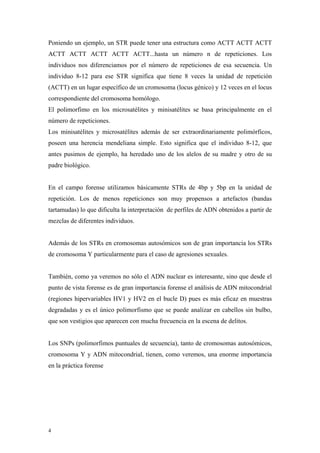 Poniendo un ejemplo, un STR puede tener una estructura como ACTT ACTT ACTT
ACTT ACTT ACTT ACTT ACTT...hasta un número n de repeticiones. Los
individuos nos diferenciamos por el número de repeticiones de esa secuencia. Un
individuo 8-12 para ese STR significa que tiene 8 veces la unidad de repetición
(ACTT) en un lugar específico de un cromosoma (locus génico) y 12 veces en el locus
correspondiente del cromosoma homólogo.
El polimorfimo en los microsatélites y minisatélites se basa principalmente en el
número de repeticiones.
Los minisatélites y microsatélites además de ser extraordinariamente polimórficos,
poseen una herencia mendeliana simple. Esto significa que el individuo 8-12, que
antes pusimos de ejemplo, ha heredado uno de los alelos de su madre y otro de su
padre biológico.


En el campo forense utilizamos básicamente STRs de 4bp y 5bp en la unidad de
repetición. Los de menos repeticiones son muy propensos a artefactos (bandas
tartamudas) lo que dificulta la interpretación de perfiles de ADN obtenidos a partir de
mezclas de diferentes individuos.


Además de los STRs en cromosomas autosómicos son de gran importancia los STRs
de cromosoma Y particularmente para el caso de agresiones sexuales.


También, como ya veremos no sólo el ADN nuclear es interesante, sino que desde el
punto de vista forense es de gran importancia forense el análisis de ADN mitocondrial
(regiones hipervariables HV1 y HV2 en el bucle D) pues es más eficaz en muestras
degradadas y es el único polimorfismo que se puede analizar en cabellos sin bulbo,
que son vestigios que aparecen con mucha frecuencia en la escena de delitos.


Los SNPs (polimorfimos puntuales de secuencia), tanto de cromosomas autosómicos,
cromosoma Y y ADN mitocondrial, tienen, como veremos, una enorme importancia
en la práctica forense




4
 