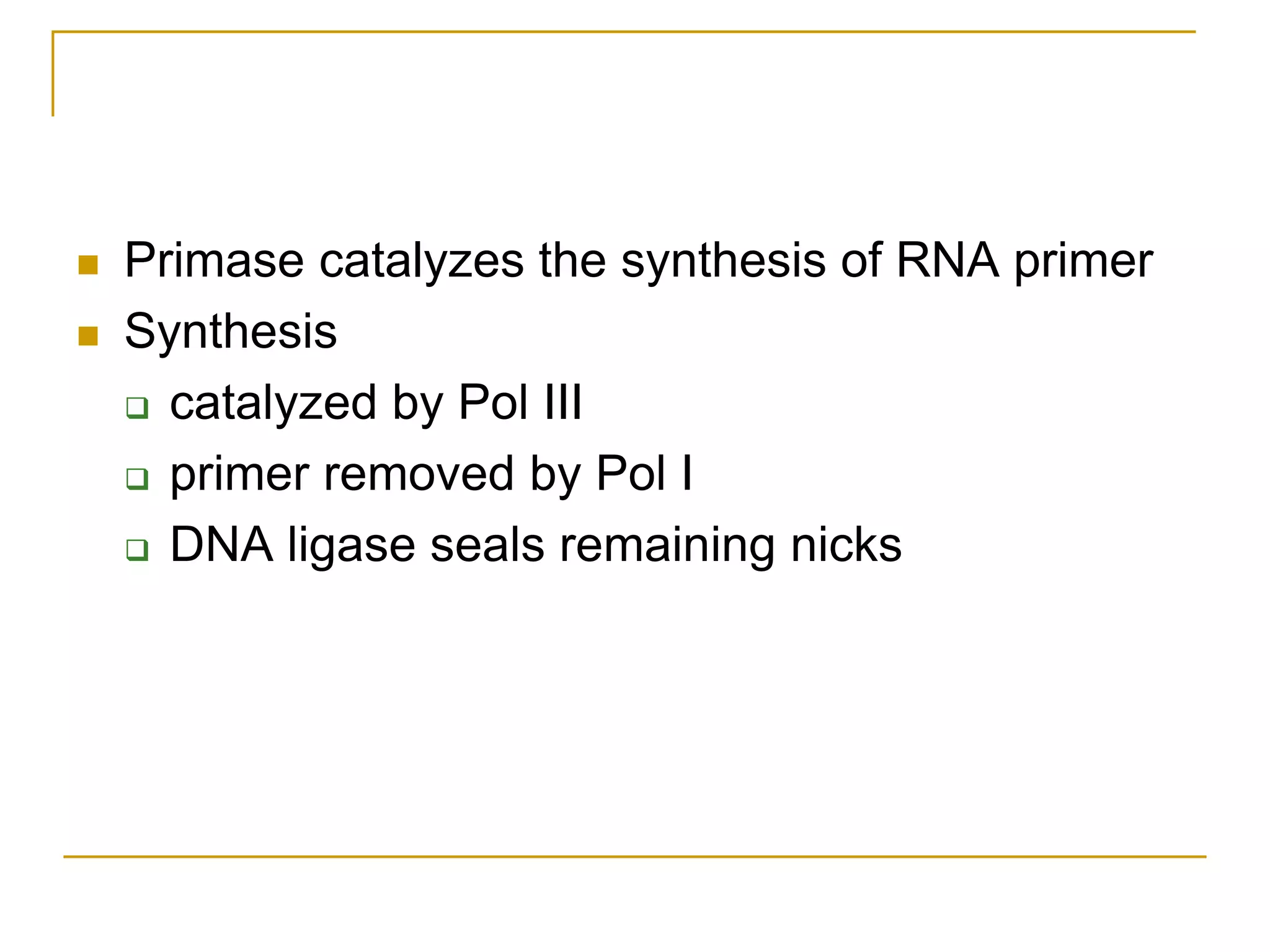   Primase catalyzes the synthesis of RNA primer
   Synthesis
     catalyzed by Pol III

     primer removed by Pol I

     DNA ligase seals remaining nicks
 