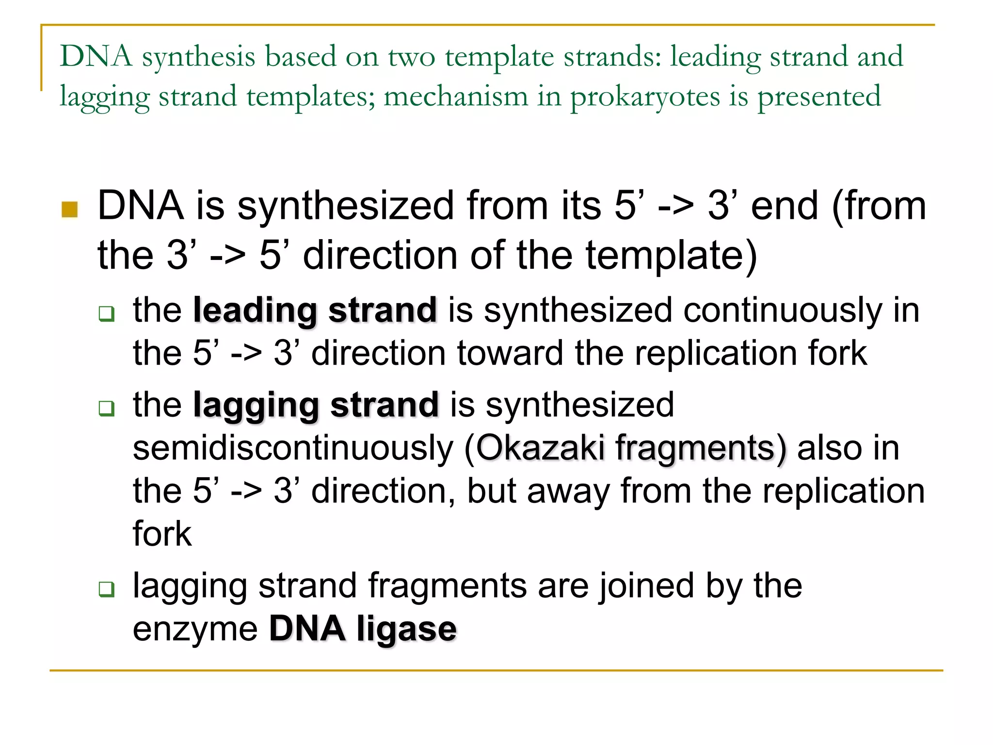 DNA synthesis based on two template strands: leading strand and
lagging strand templates; mechanism in prokaryotes is presented


   DNA is synthesized from its 5’ -> 3’ end (from
    the 3’ -> 5’ direction of the template)
       the leading strand is synthesized continuously in
        the 5’ -> 3’ direction toward the replication fork
       the lagging strand is synthesized
        semidiscontinuously (Okazaki fragments) also in
        the 5’ -> 3’ direction, but away from the replication
        fork
       lagging strand fragments are joined by the
        enzyme DNA ligase
 