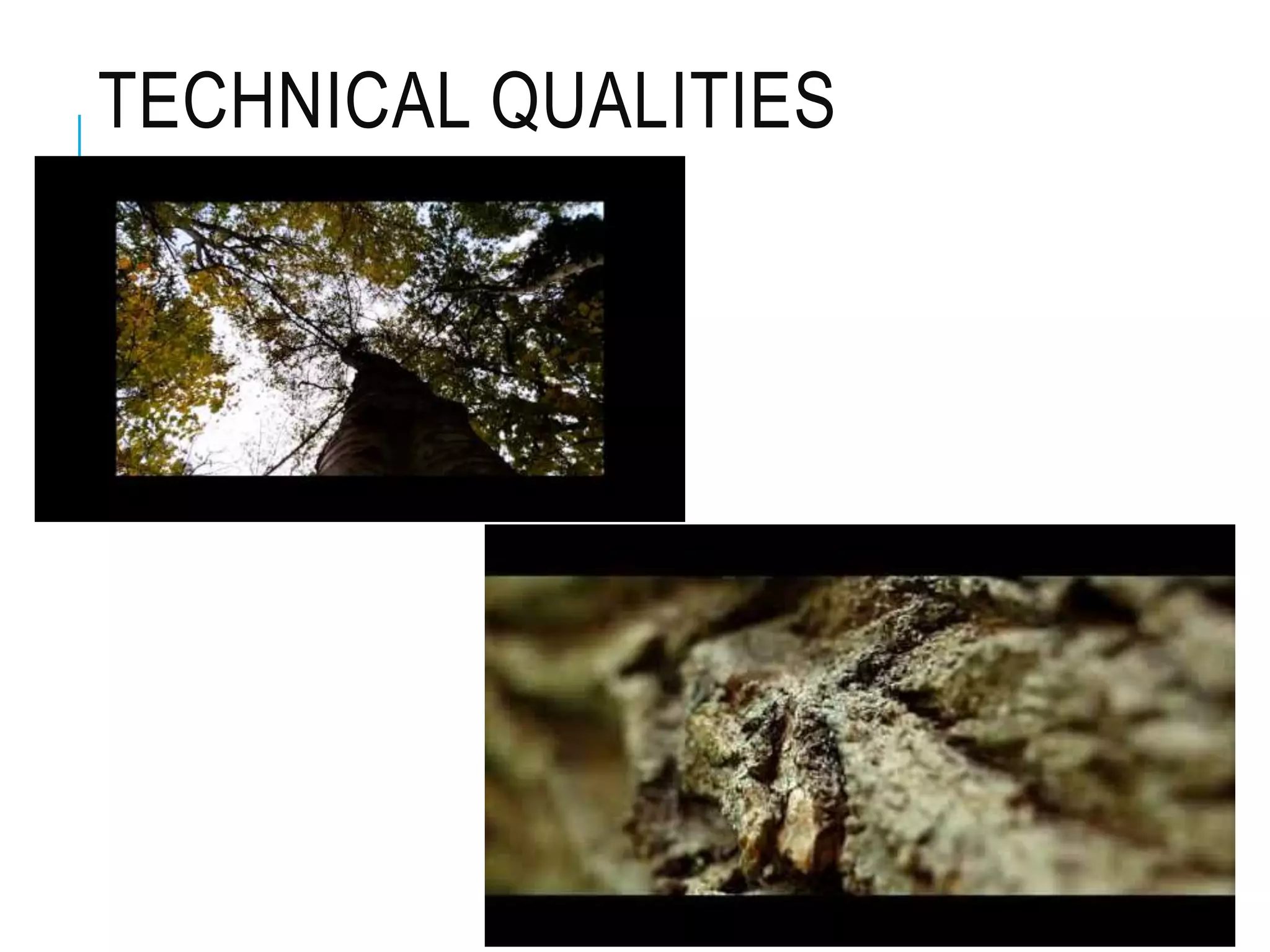 TECHNICAL QUALITIES
 