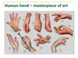 Human hand – masterpiece of art
 
