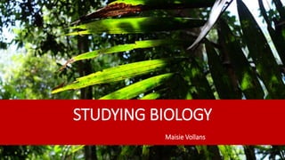 STUDYING BIOLOGY
Maisie Vollans
 