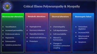 Critical Illness Polyneuropathy & Myopathy
Microvascular alterations
Vasodilatation
Increased permeability
Endoneural edem...