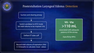Postextubation Laryngeal Edema: Detection
Suction and clearing airway
Switch ventilator to VCV mode
Set tidal volume to be...