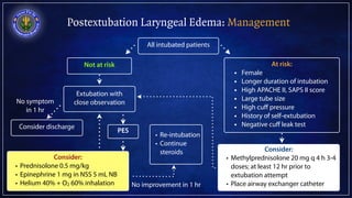 Postextubation Laryngeal Edema: Management
All intubated patients
At risk:
• Female
• Longer duration of intubation
• High...