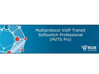 Multiprotocol VoIP Transit
 Softswitch Professional
       (MVTS Pro)
 