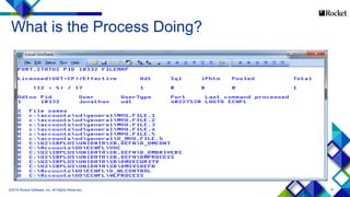 31
What is the Process Doing?
©2015 Rocket Software, Inc. All Rights Reserved.
 