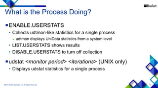 32
What is the Process Doing?
ENABLE.USERSTATS
• Collects udtmon-like statistics for a single process
 udtmon displays UniData statistics from a system level
• LIST.USERSTATS shows results
• DISABLE.USERSTATS to turn off collection
udstat <monitor period> <iterations> (UNIX only)
• Displays udstat statistics for a single process
©2015 Rocket Software, Inc. All Rights Reserved.
 