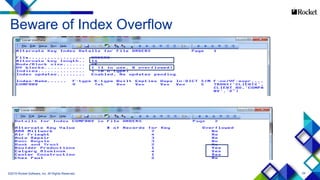 54
Beware of Index Overflow
©2015 Rocket Software, Inc. All Rights Reserved.
 
