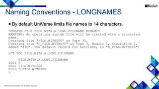 UniVerse Files | PDF
