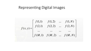 Representing Digital Images
 