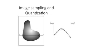 Image sampling and
Quantization
 