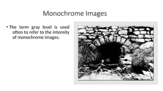 Monochrome Images
• The term gray level is used
often to refer to the intensity
of monochrome images.
 