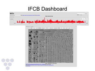 IFCB Dashboard
 
