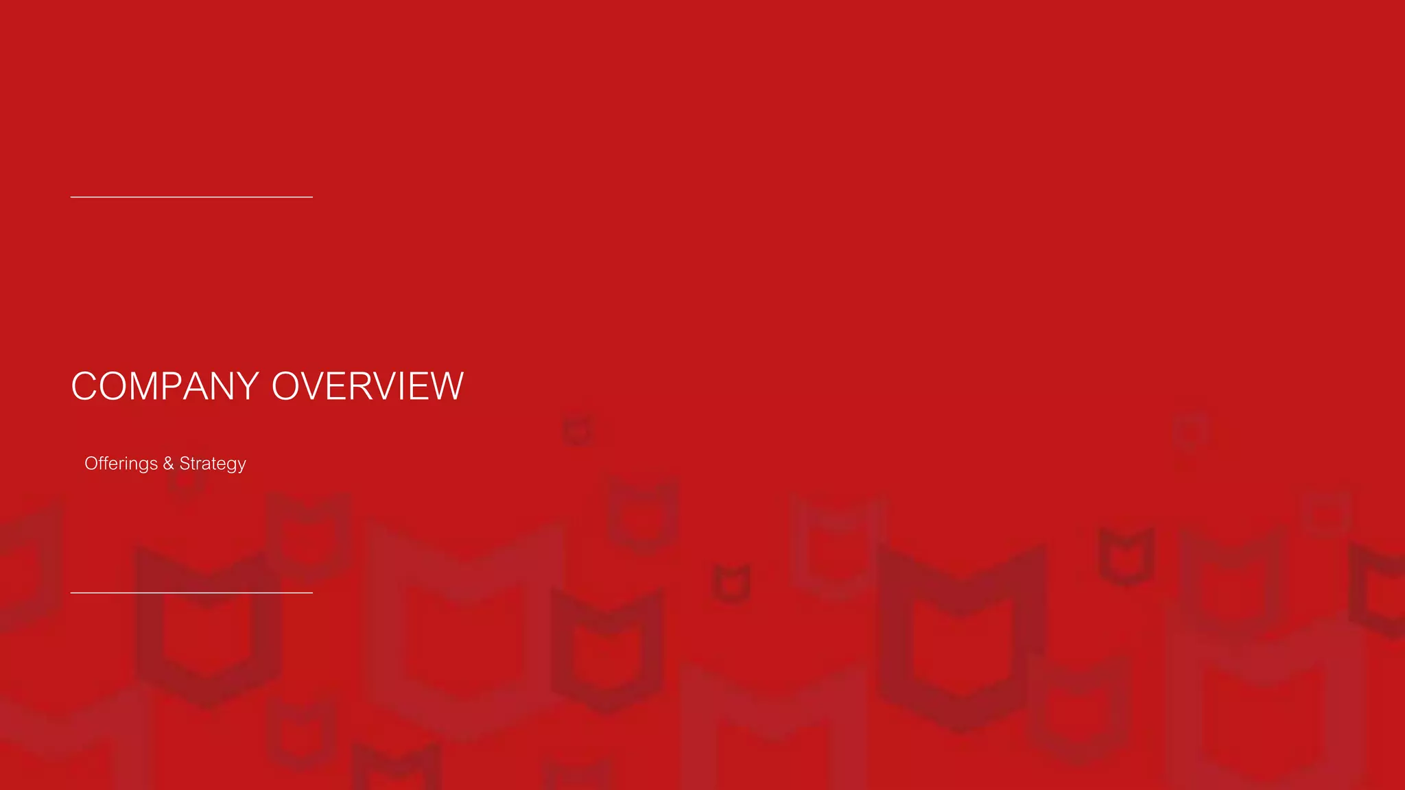 COMPANY OVERVIEW
Offerings & Strategy
 