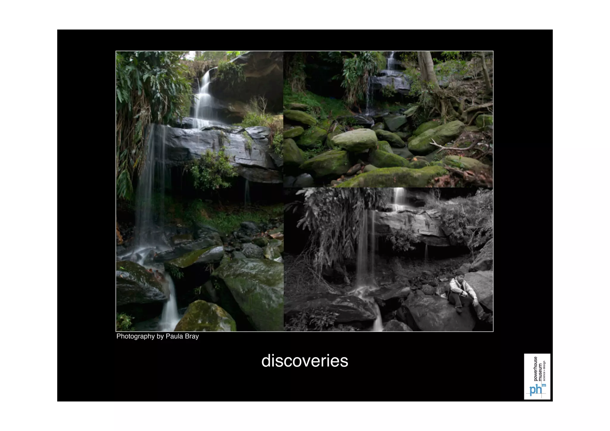 Flickr Commons: Open licensing and the future for collections