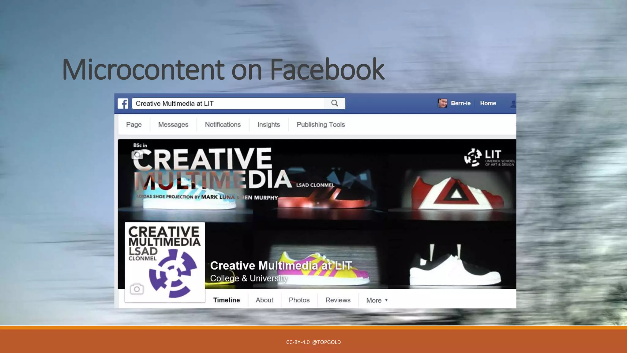 Microcontent on Facebook
CC-BY-4.0 @TOPGOLD
 