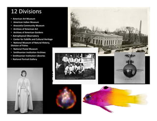 12 Divisions
• American Art Museum 
• American Indian Museum
  American Indian Museum
• Anacostia Community Museum
• Archives of American Art
• Archives of American Gardens
• Astrophysical Observatory
• Center for Folklife and Cultural Heritage
• National Museum of Natural History,     
Division of Fishes
• National Postal Museum
• Smithsonian Institution Archives
  Smithsonian Institution Archives
• Smithsonian Institution Libraries
• National Portrait Gallery
 