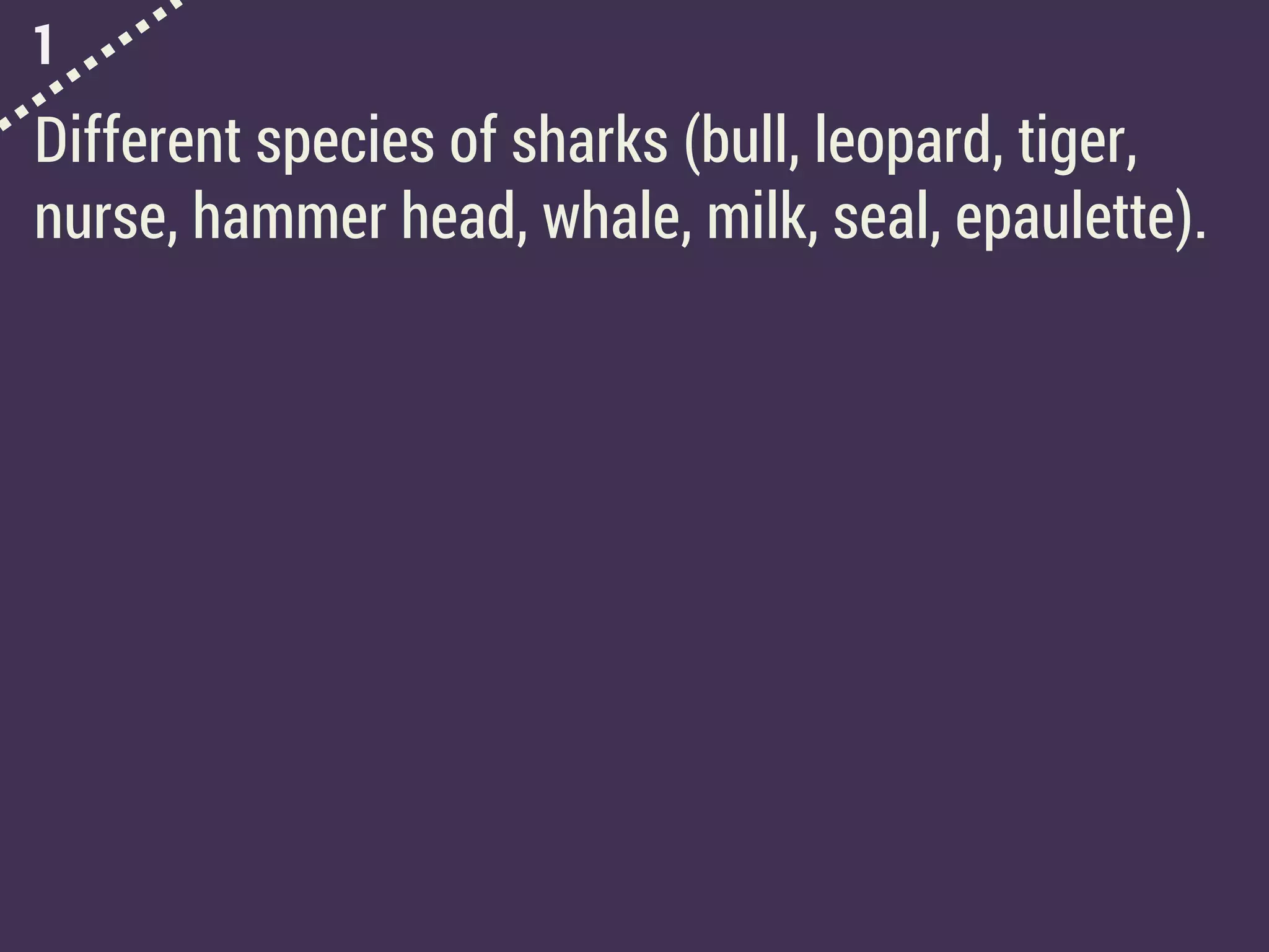 1
Different species of sharks (bull, leopard, tiger,
nurse, hammer head, whale, milk, seal, epaulette).
 