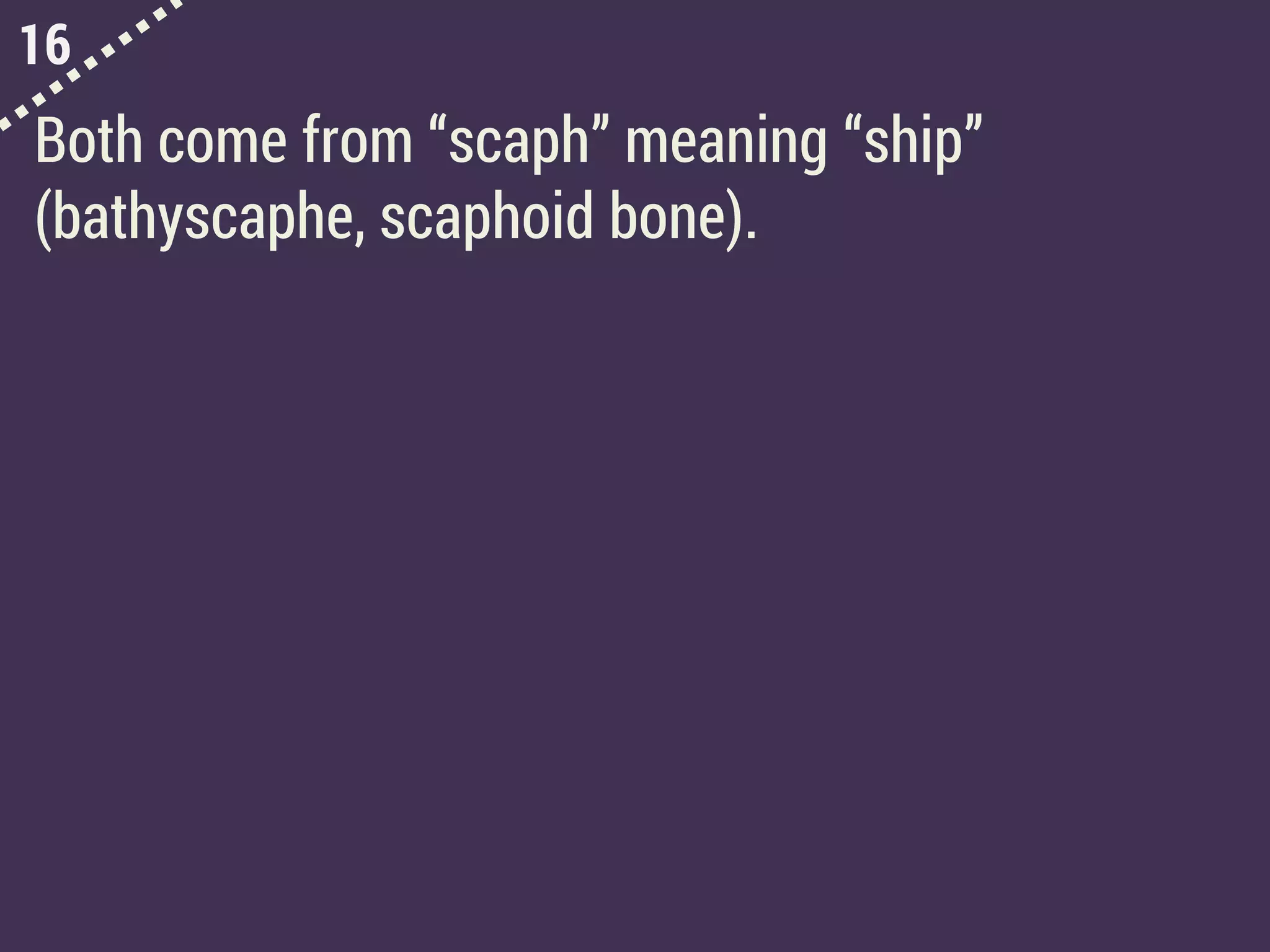 16
Both come from “scaph” meaning “ship”
(bathyscaphe, scaphoid bone).
 