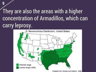 9
They are also the areas with a higher
concentration of Armadillos, which can
carry leprosy.
 