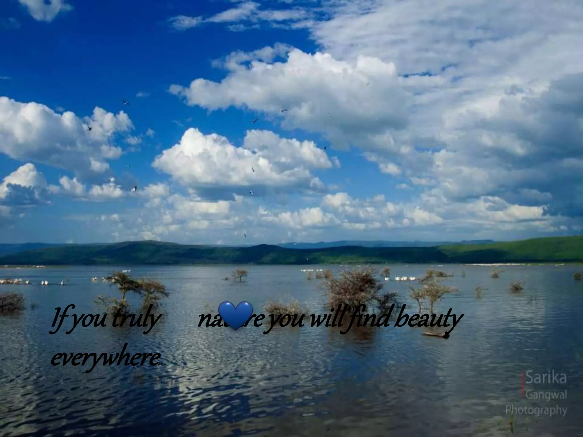 If you truly nature you will findbeauty
everywhere..