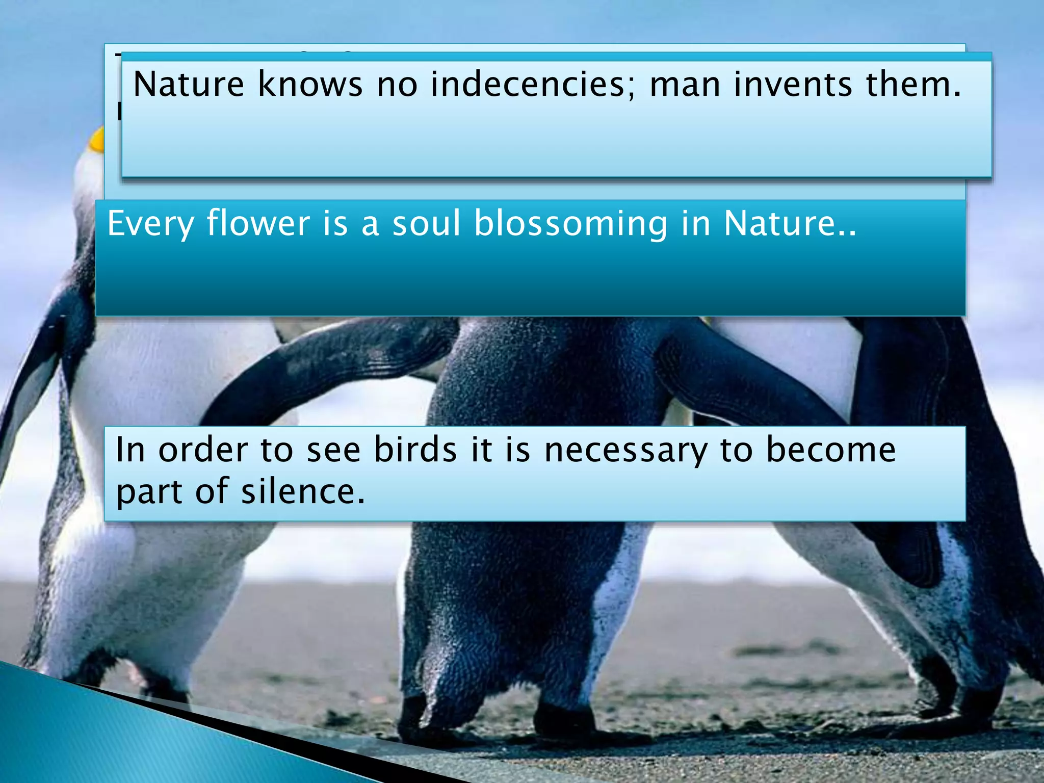 The goal of life is living in agreement with
nature..
The clearest way into the universe is through a
forest wilderness.
Nature knows no indecencies; man invents them.
Every flower is a soul blossoming in Nature..
In order to see birds it is necessary to become
part of silence.