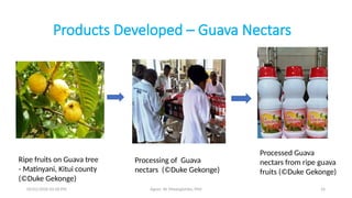 05/01/2026 03:18 PM Agnes W. Mwangómbe, PhD 16
Products Developed – Guava Nectars
Ripe fruits on Guava tree
- Matinyani, Kitui county
(©Duke Gekonge)
Processed Guava
nectars from ripe guava
fruits (©Duke Gekonge)
Processing of Guava
nectars (©Duke Gekonge)
 