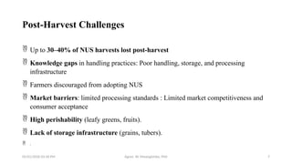 05/01/2026 03:18 PM Agnes W. Mwangómbe, PhD 7
Post-Harvest Challenges
 Up to 30–40% of NUS harvests lost post-harvest
 Knowledge gaps in handling practices: Poor handling, storage, and processing
infrastructure
 Farmers discouraged from adopting NUS
 Market barriers: limited processing standards : Limited market competitiveness and
consumer acceptance
 High perishability (leafy greens, fruits).
 Lack of storage infrastructure (grains, tubers).
 .
 