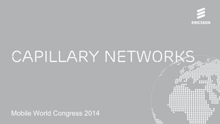 Capillary Networks
Mobile World Congress 2014
 