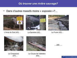 Où trouver une rivière sauvage?  Dans d’autres massifs moins «  exposés  »?...   L’Ance du Sud (43)… La Semène (42)… Le Furan (42)… Le Chassezac (07)… Le Couze de Valbeleix (63)…   … etc…. 