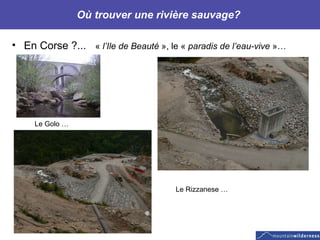 Où trouver une rivière sauvage?  En Corse ?...   «  l’Ile de Beauté  », le «  paradis de l’eau-vive  »… Le Golo … Le Rizzanese … 