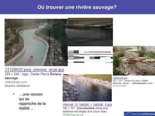 Où trouver une rivière sauvage?  … une version qui se rapproche de la réalité… 