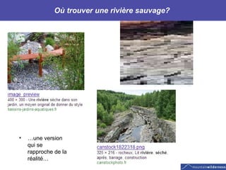 Où trouver une rivière sauvage?  … une version qui se rapproche de la réalité… 