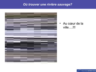 Où trouver une rivière sauvage?  Au cœur de la ville….!!! 