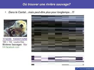 Où trouver une rivière sauvage?  Dans le Cantal…mais peut-être plus pour longtemps…!!! 