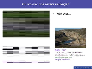 Où trouver une rivière sauvage?  Très loin… 